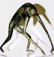 Laufender Affe