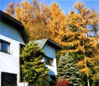 Stiftungshaus