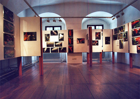 Foto Einzelausstellung in Obernzell
